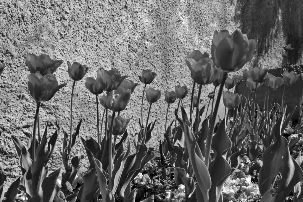 Los sueños forman parte de la vida de Alex. Elysion